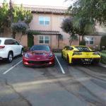 DSC04011_01 (June 20, 2020)